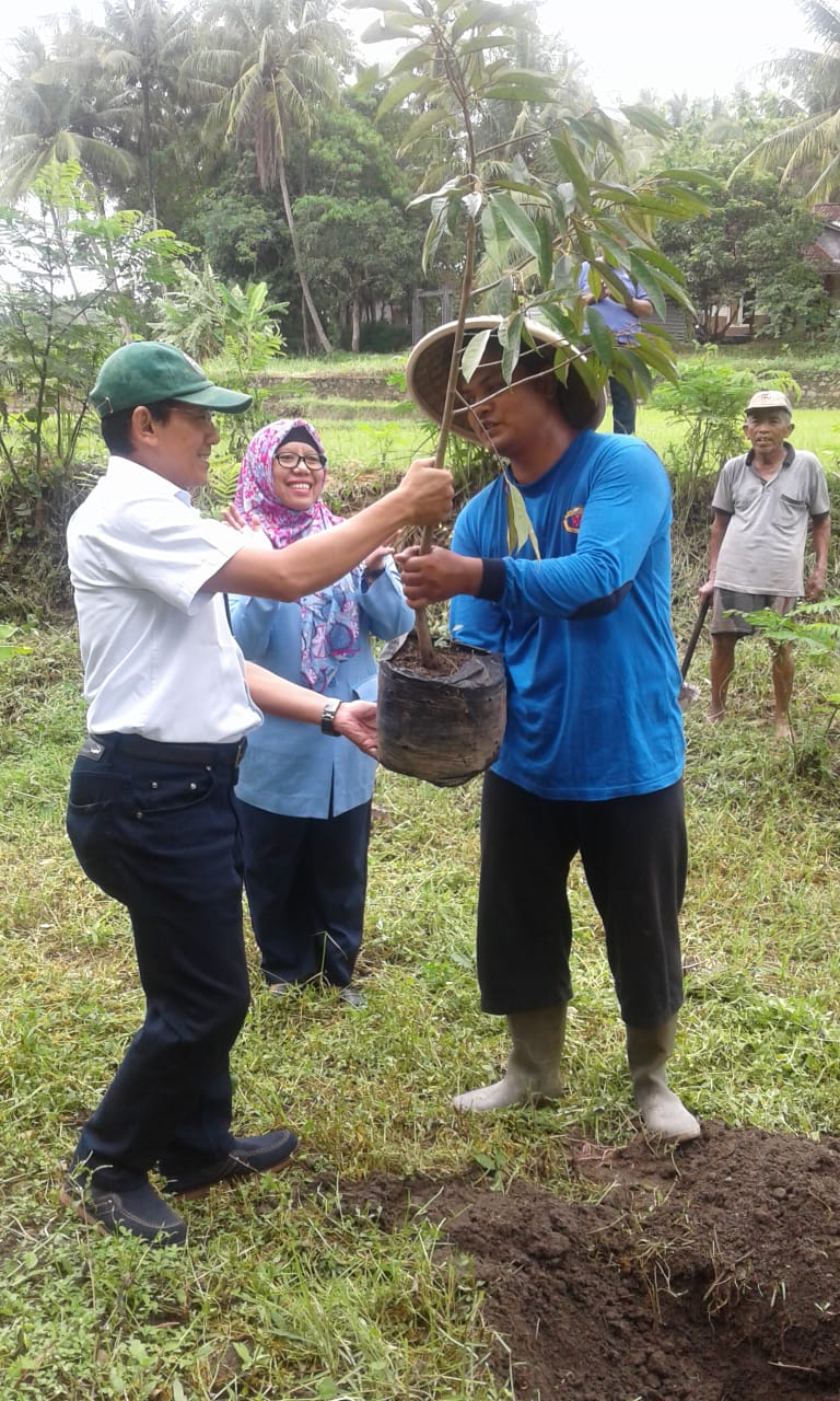 Penanaman Pohon di Lahan Kritis