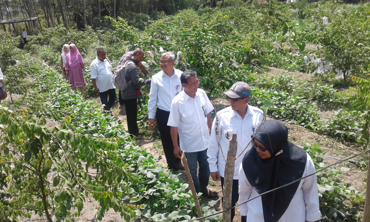 Seyegan Ajukan 2 Kategori Evaluasi Kalpataru