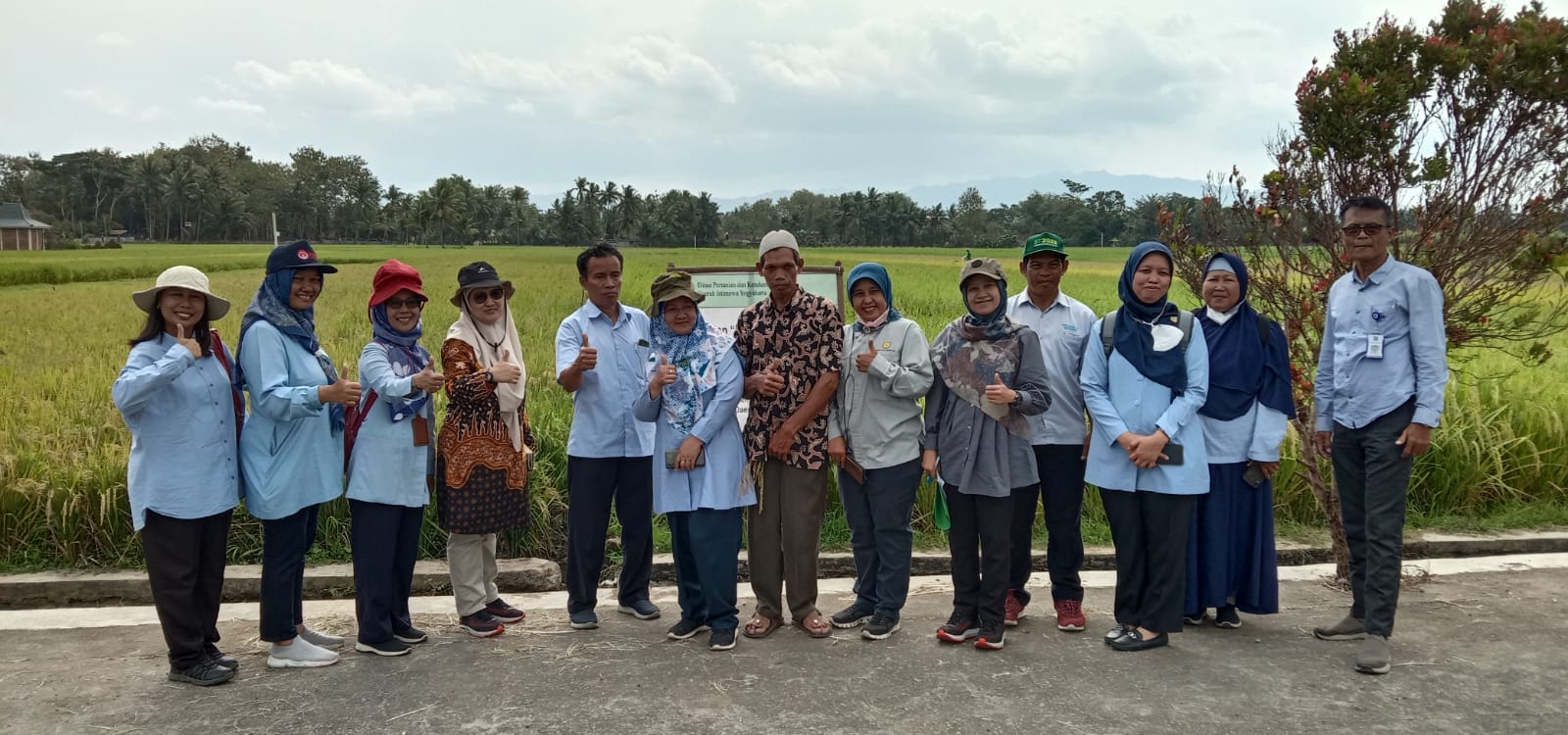 Direktorat Perbenihan Tanaman Pangan adakan Evaluasi Display Varietas di Margodadi