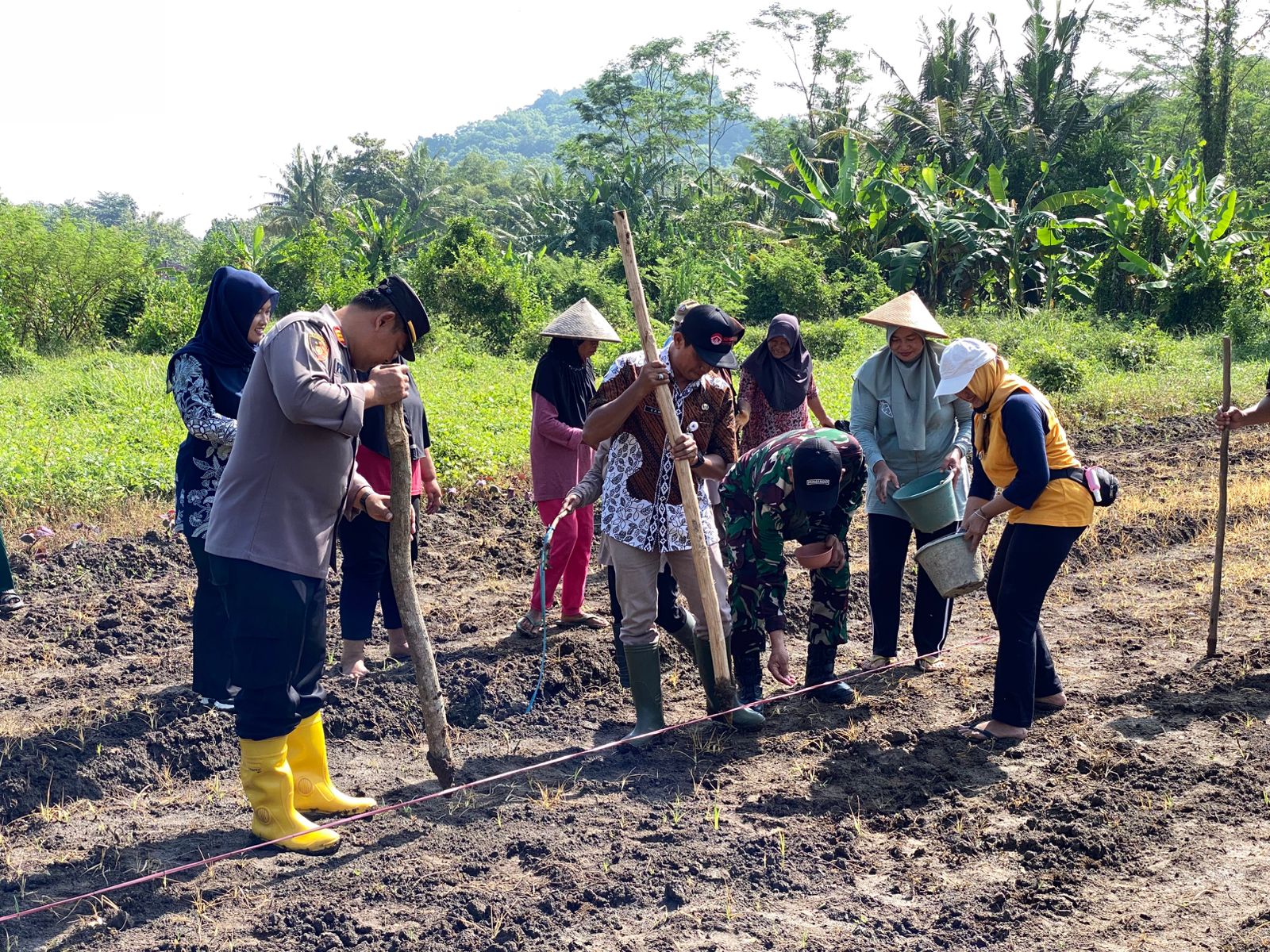 Penanaman Jagung Satu Juta Hektar Dukung Ketahanan Pangan di Padukuhan Kurahan III, Margodadi, Seyegan