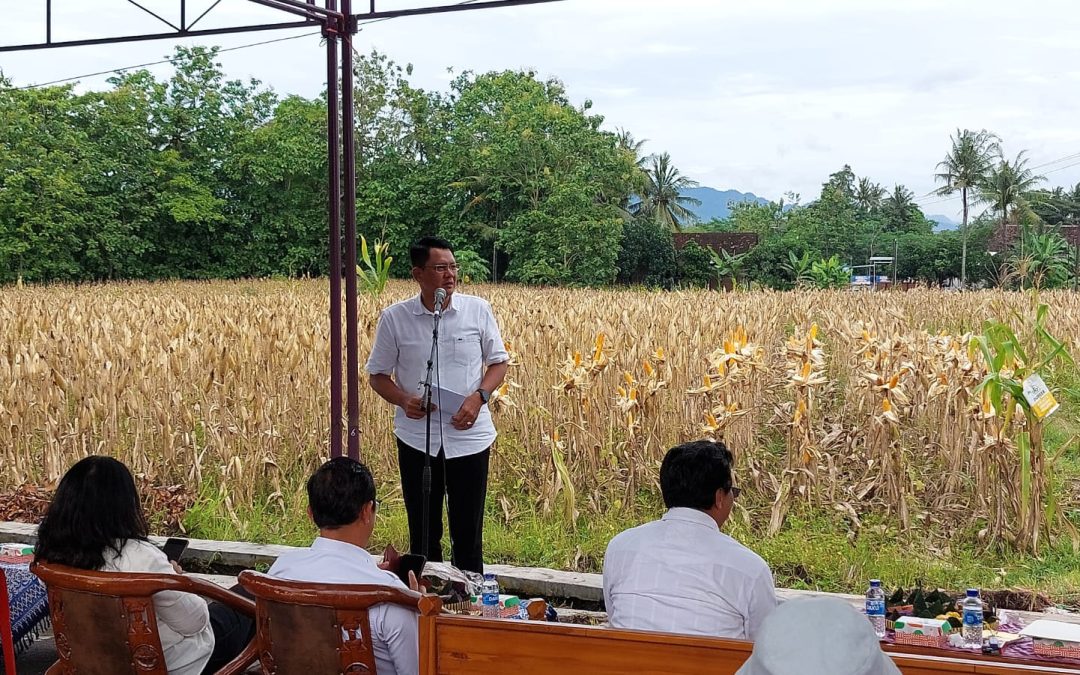Wabup Sleman Tekankan Kolaborasi Petani dan Pemerintah untuk Tingkatkan Produktivitas Jagung